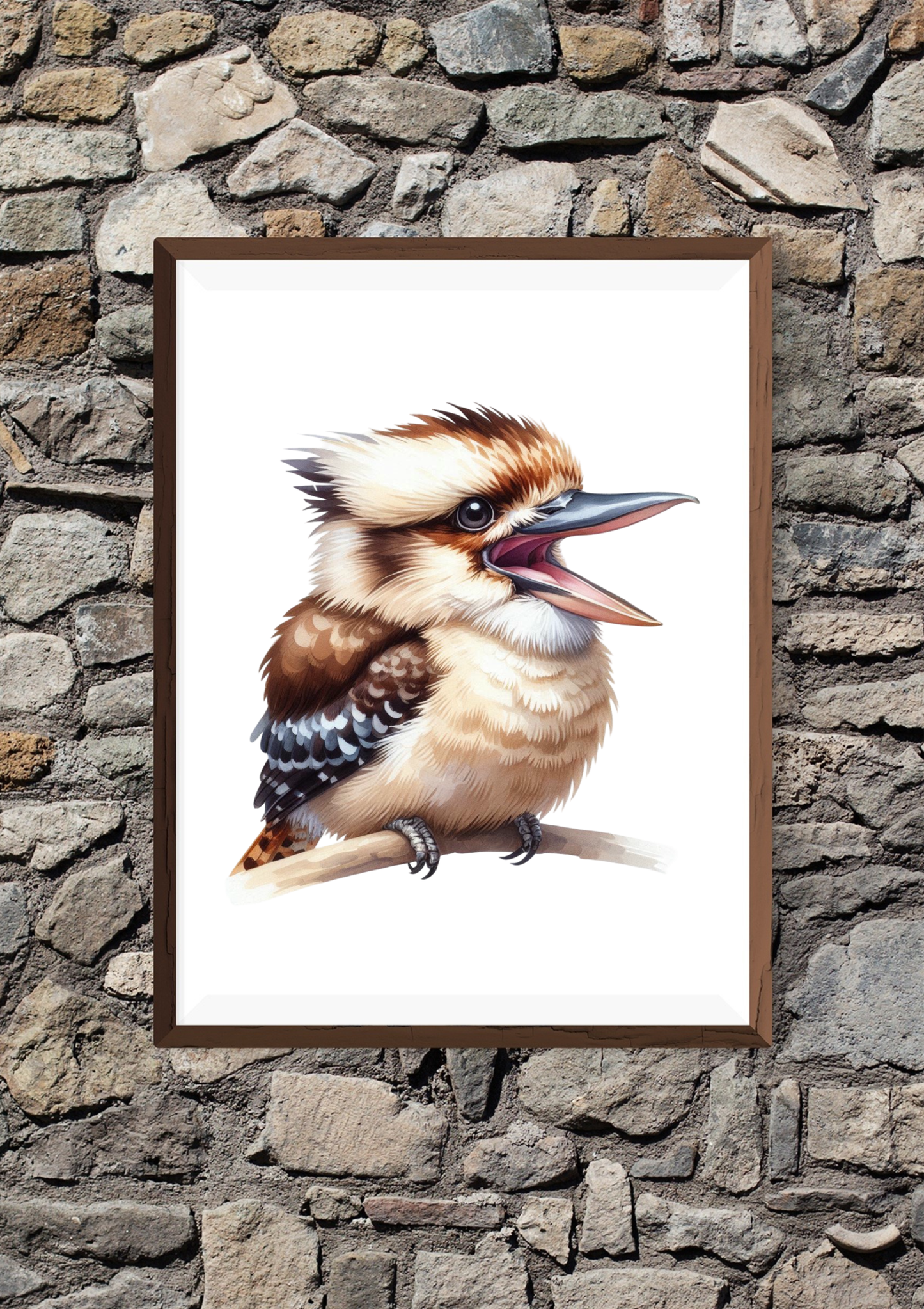 Kookaburra Laughing